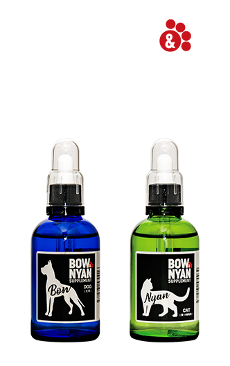 BOWNYAN SUPPLEMENT